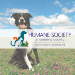 Humane-Society-fundraiser