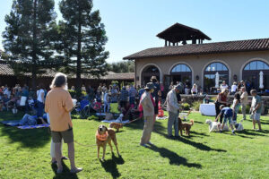 Blessing of the Animals at St Francis Winery