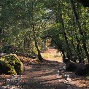 Sugarloaf Park hike