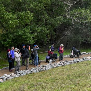 Slow Journeys walk at Sugarloaf Park for people with limited mobility