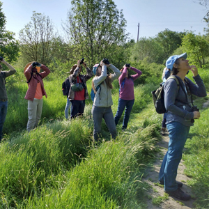 Bird Watching Mothers Day