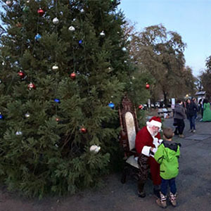 Forestville Tree Lighting