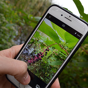 Nature photography hike at Sugarloaf Park