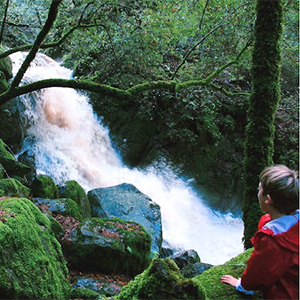 Sugarloaf Park Sonoma Creek Falls