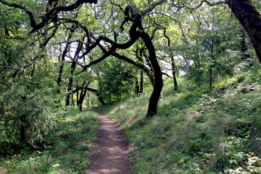 Shilo Ranch Park