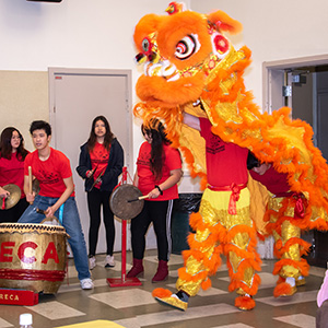 Lunar New Year at the Museum of Sonoma County