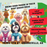 Russian River Pride Pooch Pageant