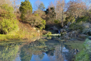 Sonoma Botanical Garden