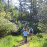 Hiking at Regional Parks