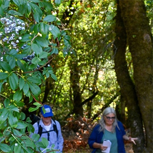 Slow journeys at Sugarloaf Park