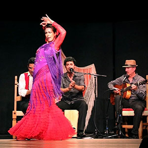 One Night of Flamenco: Concert at Cornerstone Sonoma