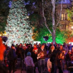 Merry Healdsburg tree lighting and celebration