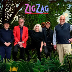 ZigZag band