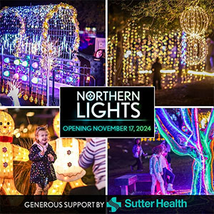 Winter Lights at Luther Burbank center for the Arts