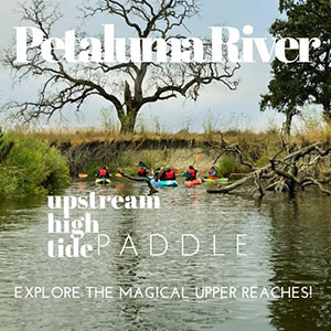 Upstream High Tide Paddle Petaluma