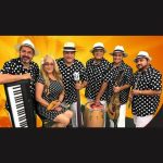 Don Gato band