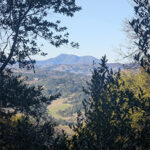 North Sonoma Mountain Park