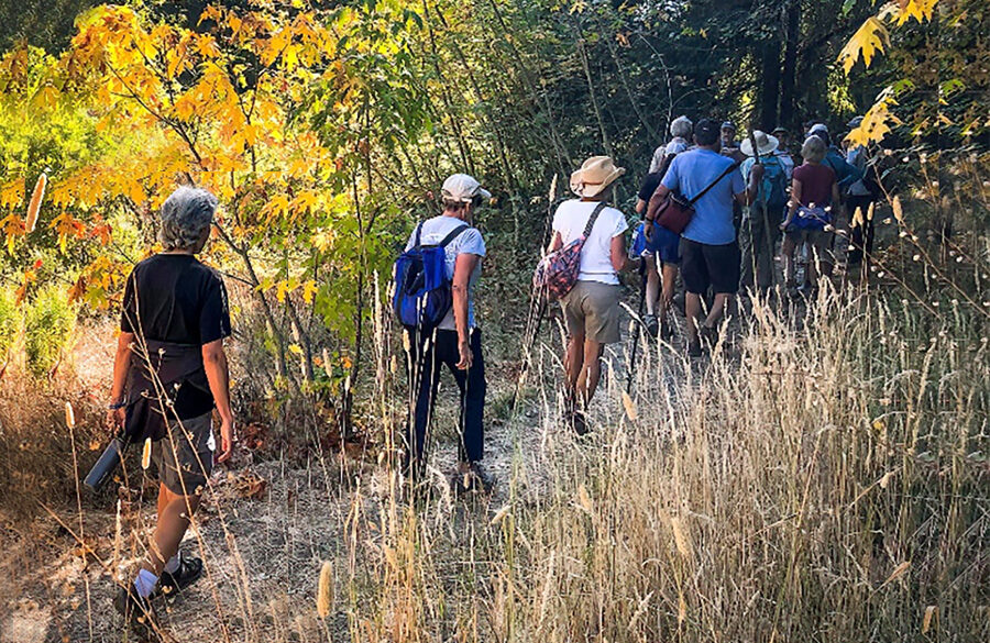 Sat: WILD Trail Challenge at Jack London Park